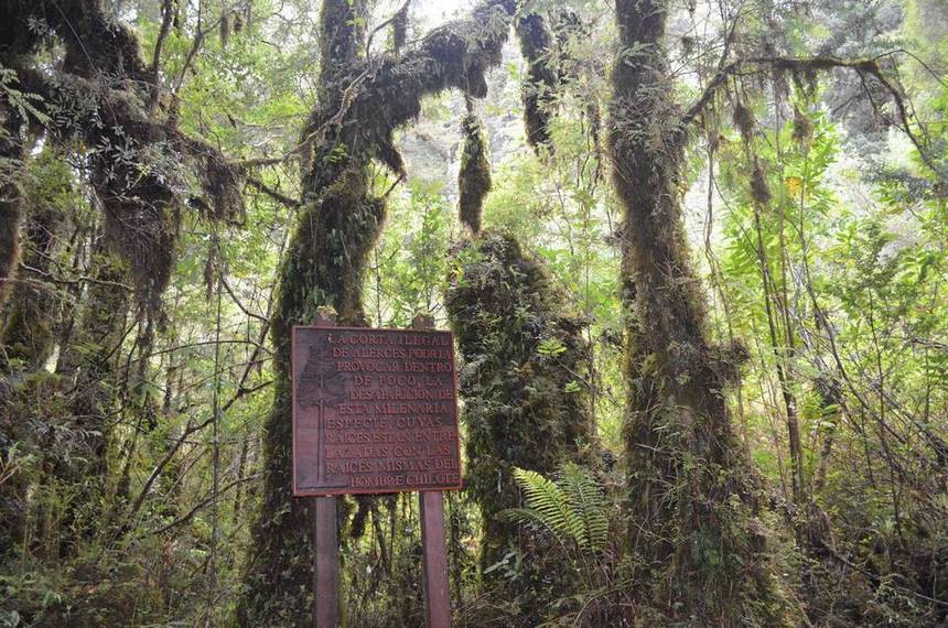 Fotografía 3 de Ecoturismo y expediciones en Chaiten en Chaiten, Los Lagos