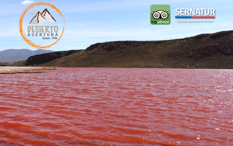 Turismo Desierto Aventura Iquique en Iquique, Tarapaca