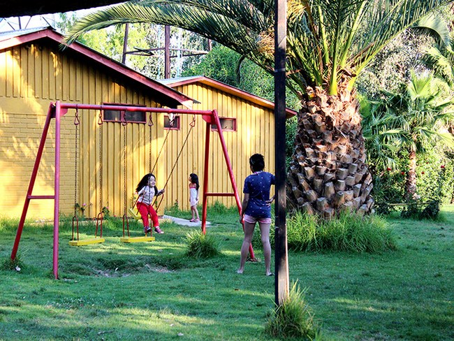 Fotografía 17 de Camping Balneario Vaitea en Panquehue, Valparaiso