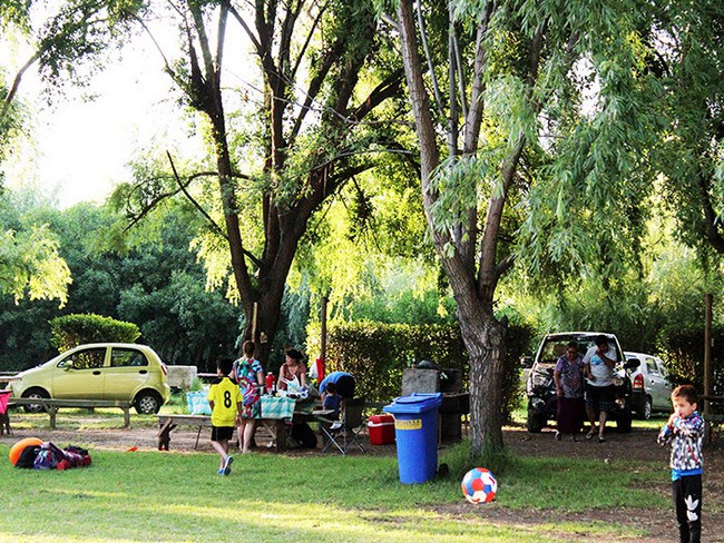 Fotografía 18 de Camping Balneario Vaitea en Panquehue, Valparaiso
