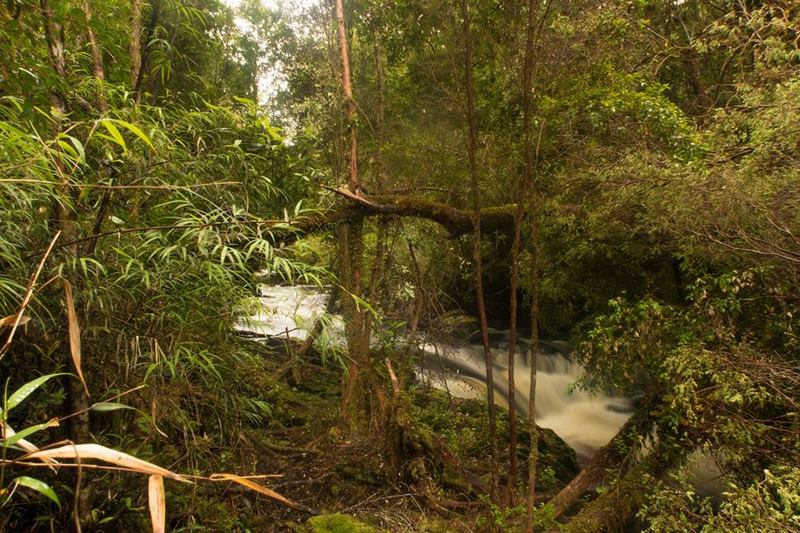 Fotografía 10 de Parque Tantauco en Quellon, Los Lagos