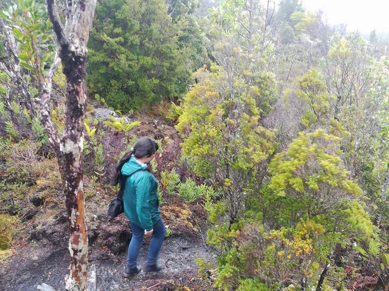 Fotografía 17 de Parque Tantauco en Quellon, Los Lagos