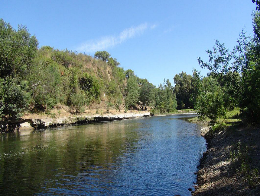 Centro Silvestre el Sauce Camping en San Rafael, Maule