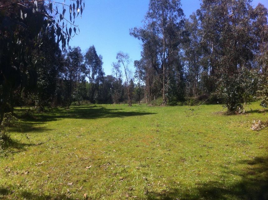 Fotografía 3 de Centro Silvestre el Sauce Camping en San Rafael, Maule