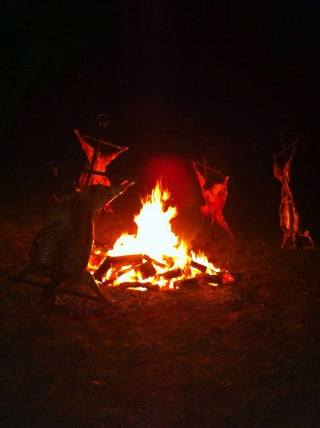 Fotografía 6 de Centro Silvestre el Sauce Camping en San Rafael, Maule