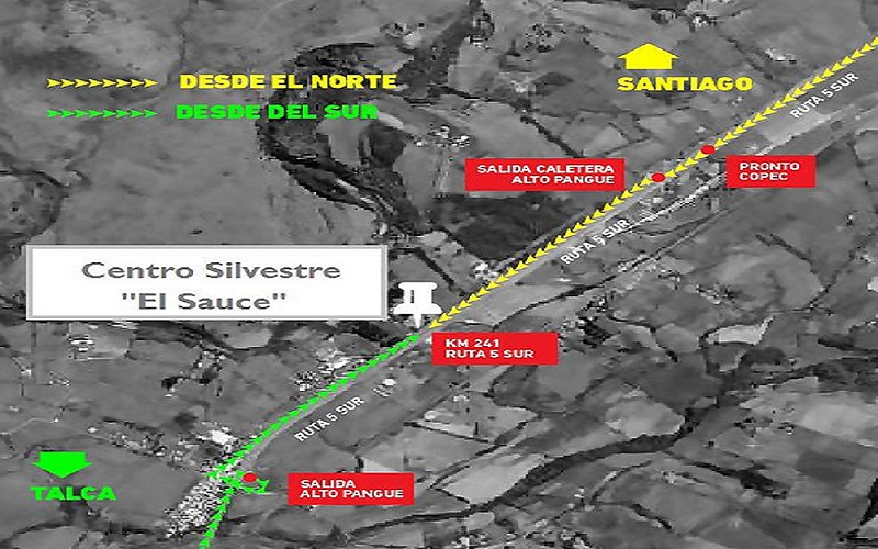 Fotografía 8 de Centro Silvestre el Sauce Camping en San Rafael, Maule