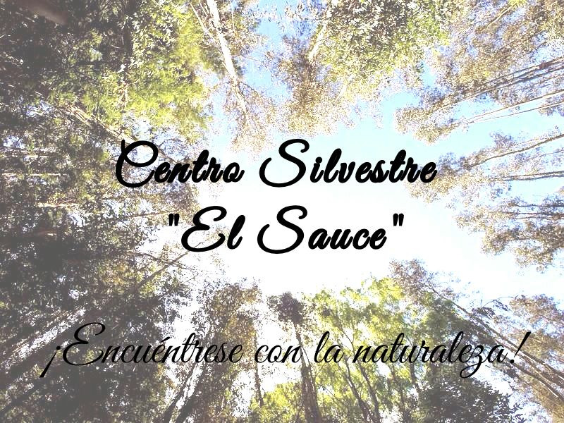 Fotografía 9 de Centro Silvestre el Sauce Camping en San Rafael, Maule