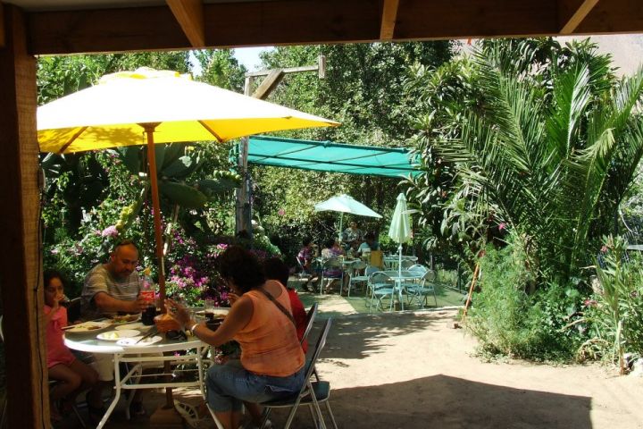 Fotografía 11 de Restaurant Las Terrazas doña Mely en Paihuano, Coquimbo