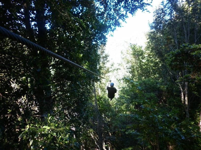 Canopy en Aysen, Aysen
