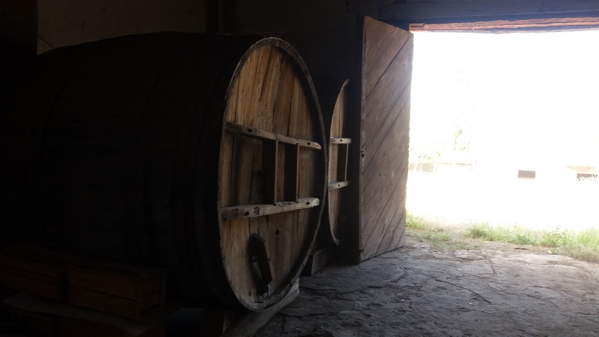 Fotografía 3 de Tour a Hacienda Arriba, Valle Cogoti en Combarbala, Coquimbo