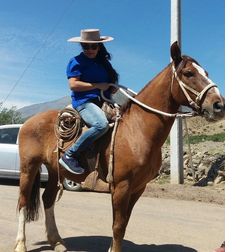 Fotografía 5 de Tour a Hacienda Arriba, Valle Cogoti en Combarbala, Coquimbo