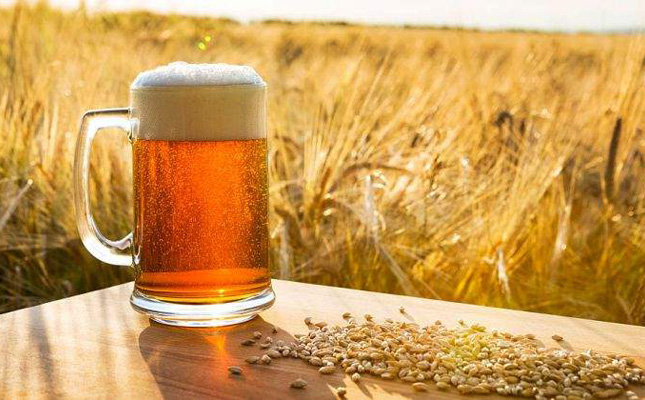 Fotografía 5 de Cervecería Artesanal J. Bello en Valdivia, Los Rios