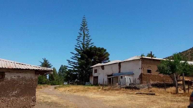 Fotografía 12 de Tour a Hacienda Arriba, Valle Cogoti en Combarbala, Coquimbo