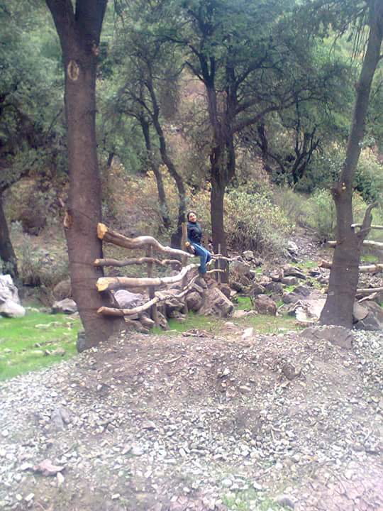 Turismo Continental Curico en Curico, Maule