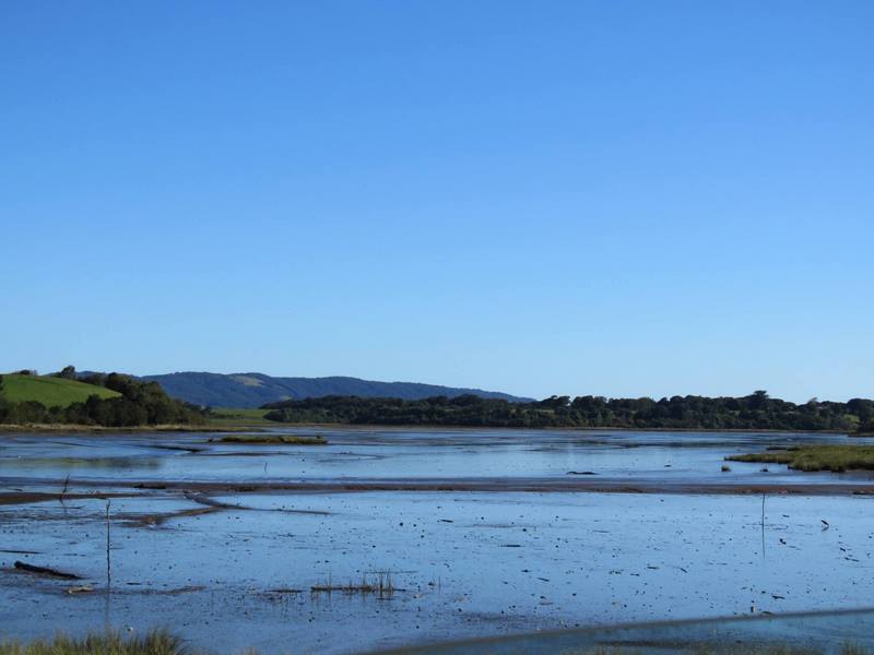 Fotografía 2 de Chiloe Austral Turismo & Aventura en Ancud, Los Lagos