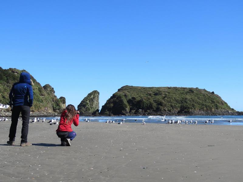 Fotografía 6 de Chiloe Austral Turismo & Aventura en Ancud, Los Lagos