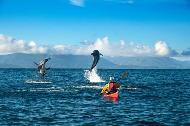 Fotografía 6 de Kayak Agua Fresca en Punta Arenas, Magallanes