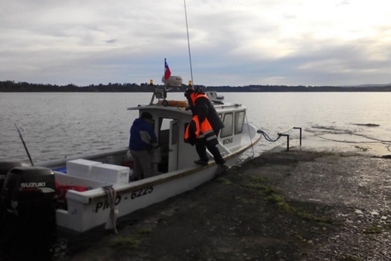 Fotografía 8 de Servicios de lanchas rapidas y remolcables. en Puerto Varas, Los Lagos