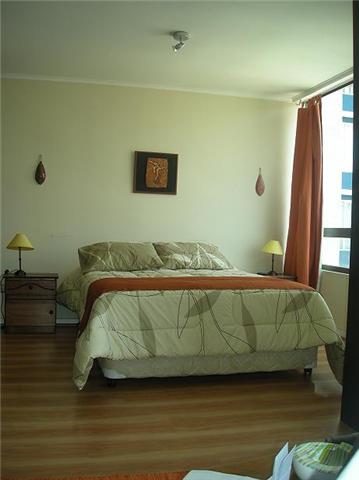 Fotografía 2 de Arriendo departamentos amoblados en SANTIAGO CENTRO por días Metro universidad  en Santiago, Metropolitana