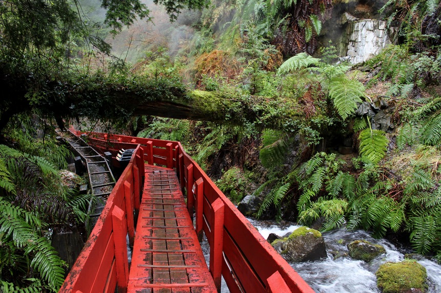 Fotografía 9 de Termas Geomítricas en Villarrica, Araucania