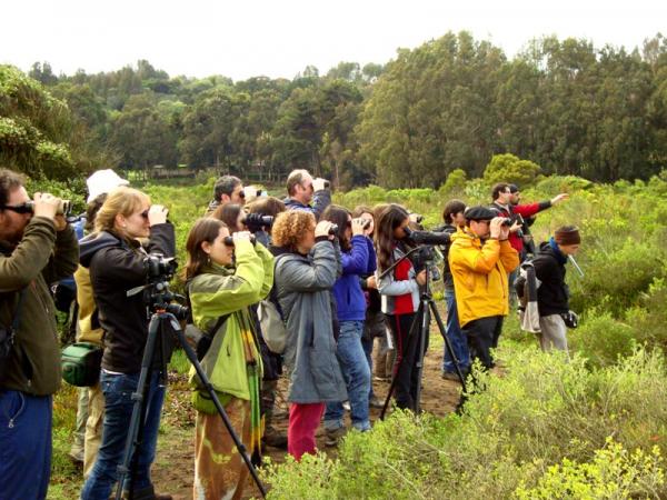 Fotografía 5 de Alojamiento en Playa, campo, bosques y humedal en Concon, Valparaiso