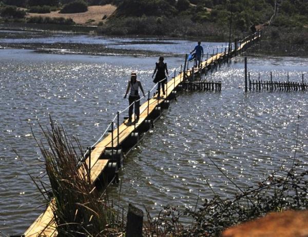 Fotografía 10 de Alojamiento en Playa, campo, bosques y humedal en Concon, Valparaiso