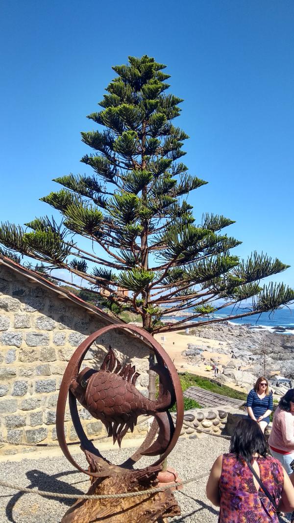 Fotografía 7 de TOUR GRUPOS //COLEGIOS// LITORAL SUR ISLA NEGRA // ALGARROBO// SAN ALFONSO DEL M en Algarrobo, Valparaiso