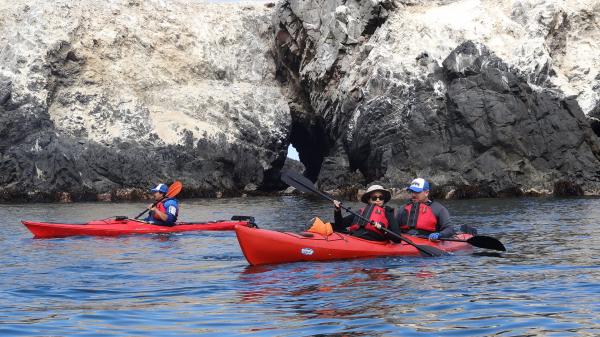 Fotografía 5 de TRAVESIA EN KAYAK Isla Santa María en Antofagasta, Antofagasta