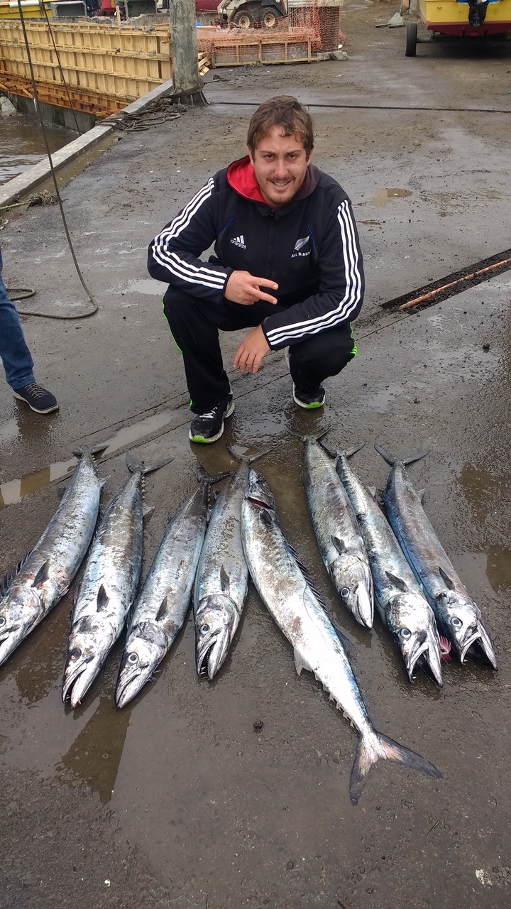 Fotografía 7 de Pesca en la bahía de Concón en Concon, Valparaiso