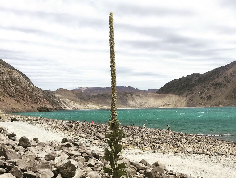Fotografía 2 de Cajón del Maipo - Embalse El Yeso en Santiago, Metropolitana