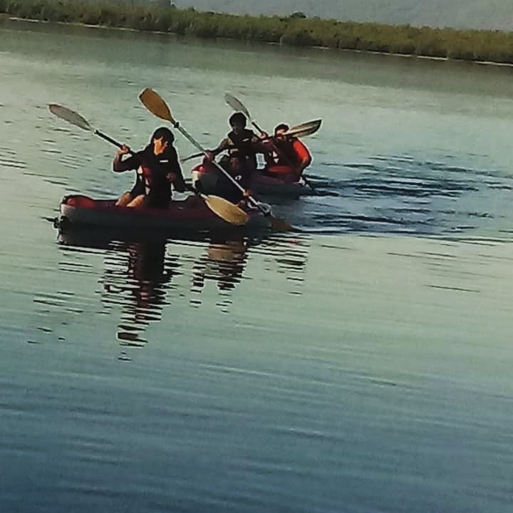 Fotografía 4 de Ecorefugios en el Lago Colbun en Colbun, Maule