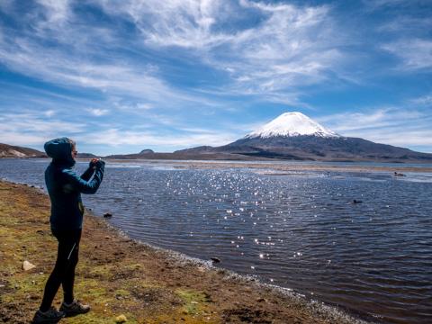 Tour en el Parque Nacional Lauca dos días. en Arica, Arica Y Parinacota