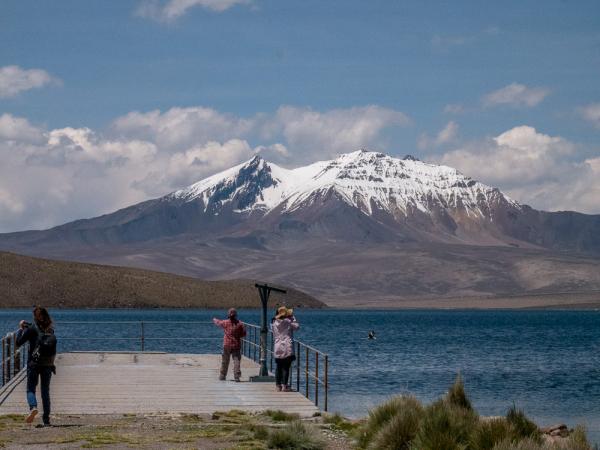 Fotografía 4 de Tour en el Parque Nacional Lauca dos días. en Arica, Arica Y Parinacota