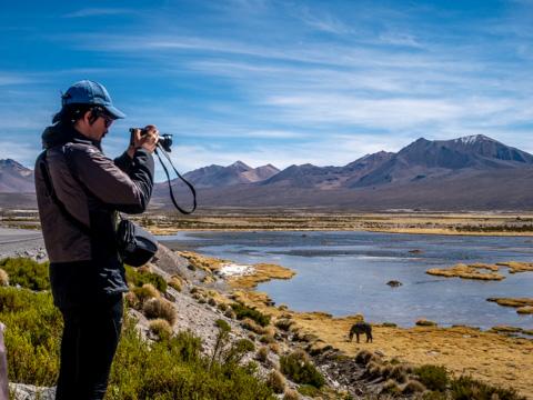 Fotografía 5 de Tour en el Parque Nacional Lauca dos días. en Arica, Arica Y Parinacota