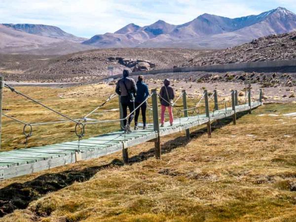 Fotografía 9 de Tour en el Parque Nacional Lauca dos días. en Arica, Arica Y Parinacota