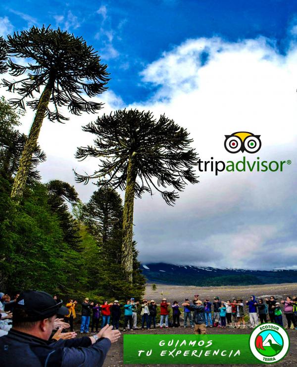 Fotografía 9 de Excursiones y Tours por Curacautín, Araucanía, Chile en Curacautin, Araucania