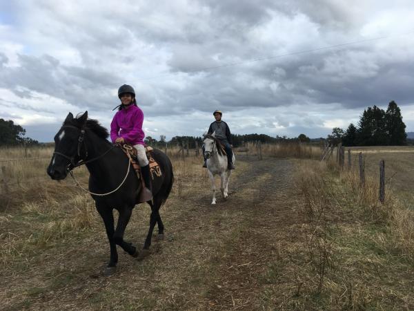 Fotografía 14 de Cabalgatas en Temuco en Temuco, Araucania
