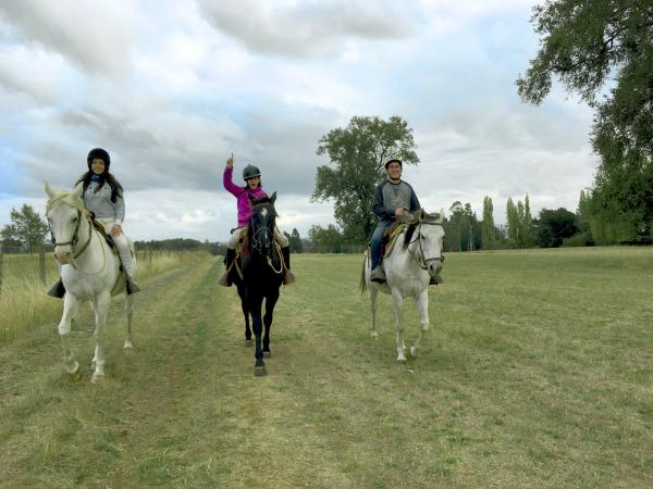 Fotografía 15 de Cabalgatas en Temuco en Temuco, Araucania