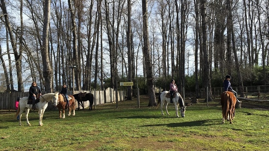 Fotografía 19 de Cabalgatas en Temuco en Temuco, Araucania