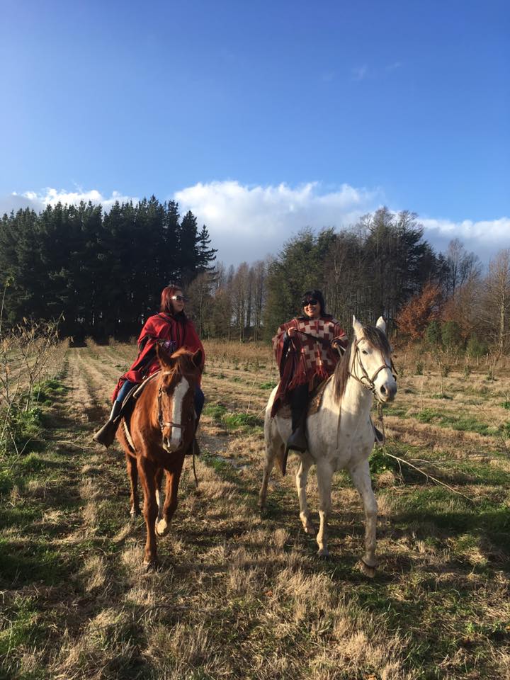 Fotografía 20 de Cabalgatas en Temuco en Temuco, Araucania