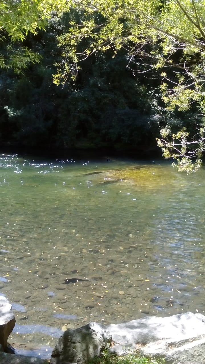 Fotografía 4 de Cabañas Huepil en Pucon, Araucania