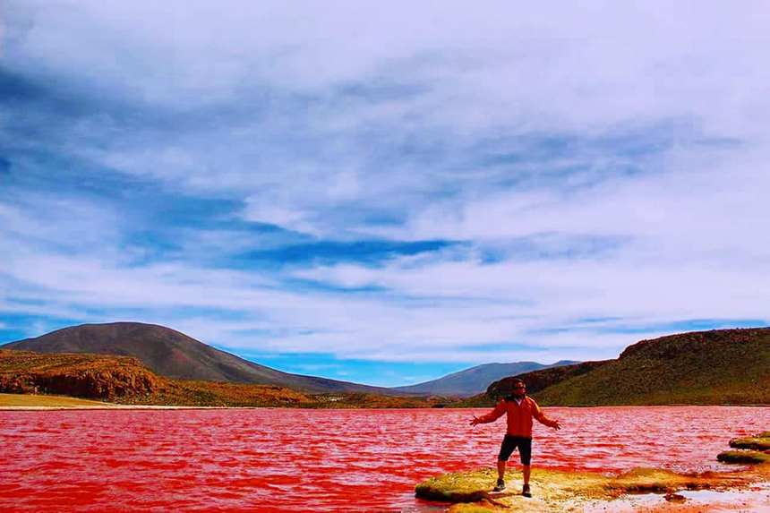 Fotografía 2 de Altos del Norte Travel en Iquique, Tarapaca