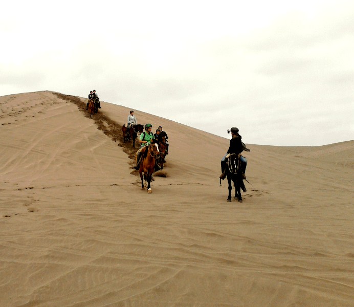 Fotografía 3 de Cabalgatas Guiadas por campo, bosque, playa y dunas en Concon, Valparaiso