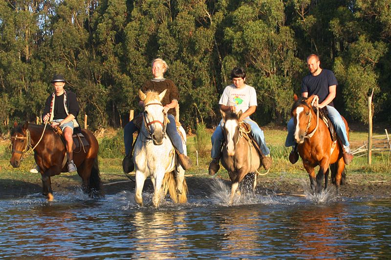 Fotografía 5 de Cabalgatas Guiadas por campo, bosque, playa y dunas en Concon, Valparaiso