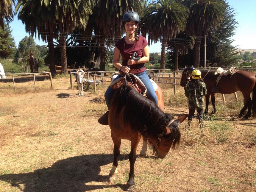 Fotografía 6 de Cabalgatas Guiadas por campo, bosque, playa y dunas en Concon, Valparaiso