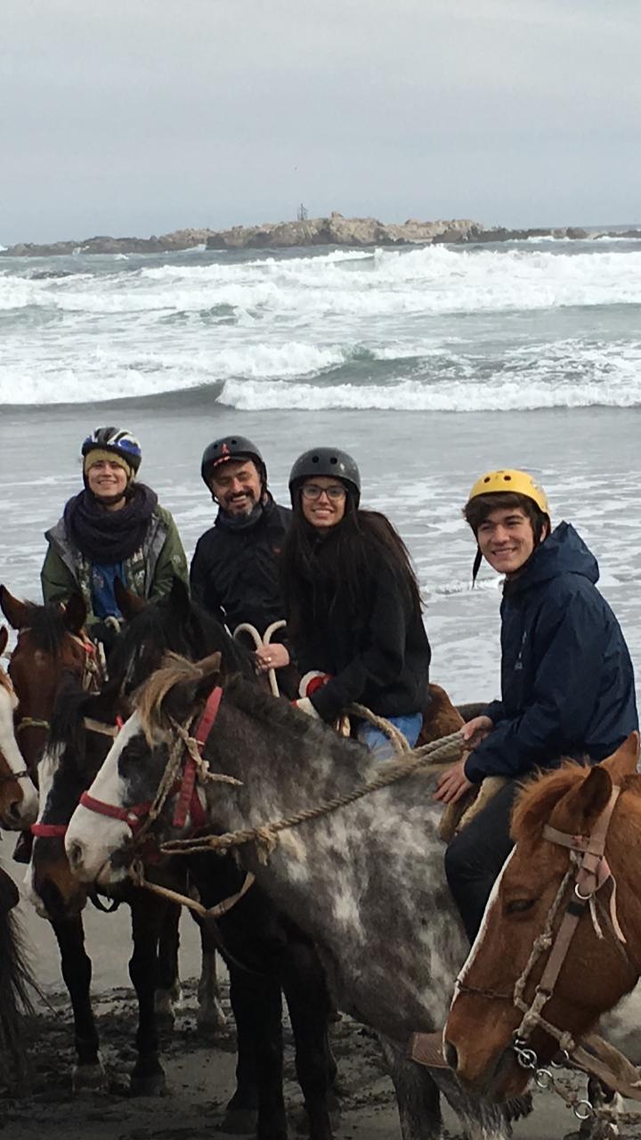 Fotografía 7 de Cabalgatas Guiadas por campo, bosque, playa y dunas en Concon, Valparaiso