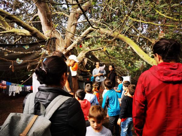 Fotografía 5 de Cumpleaños aventurero en la naturaleza en Concon, Valparaiso