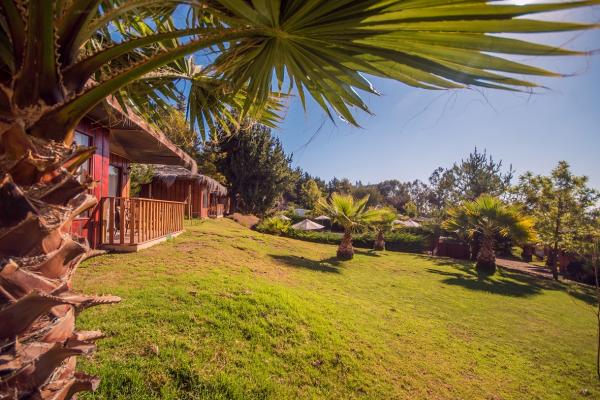 Fotografía 4 de Pao Pao Lodge Algarrobo en Algarrobo, Valparaiso