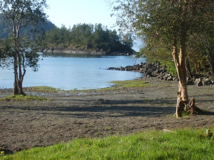 Fotografía 4 de Camping El Canto del Chucao en Lago Ranco, Los Rios