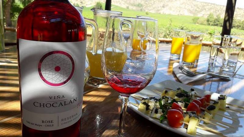 Fotografía 12 de Tours en Viña Chocalín, desgustacion de vinos en Melipilla, Metropolitana